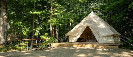 A tented accommodation with a simple layout, surrounded by dense forest.