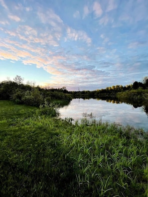 Un paysage naturel comprenant une étendue d’eau, des zones herbeuses et des arbres, sous un ciel partiellement nuageux.