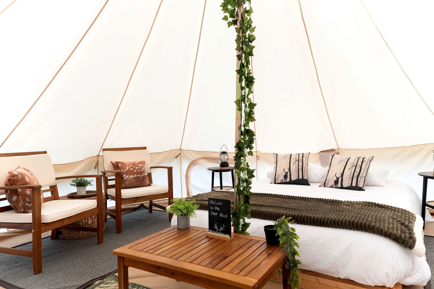 A tent interior with a bed, two chairs, a small table, and a hanging plant.