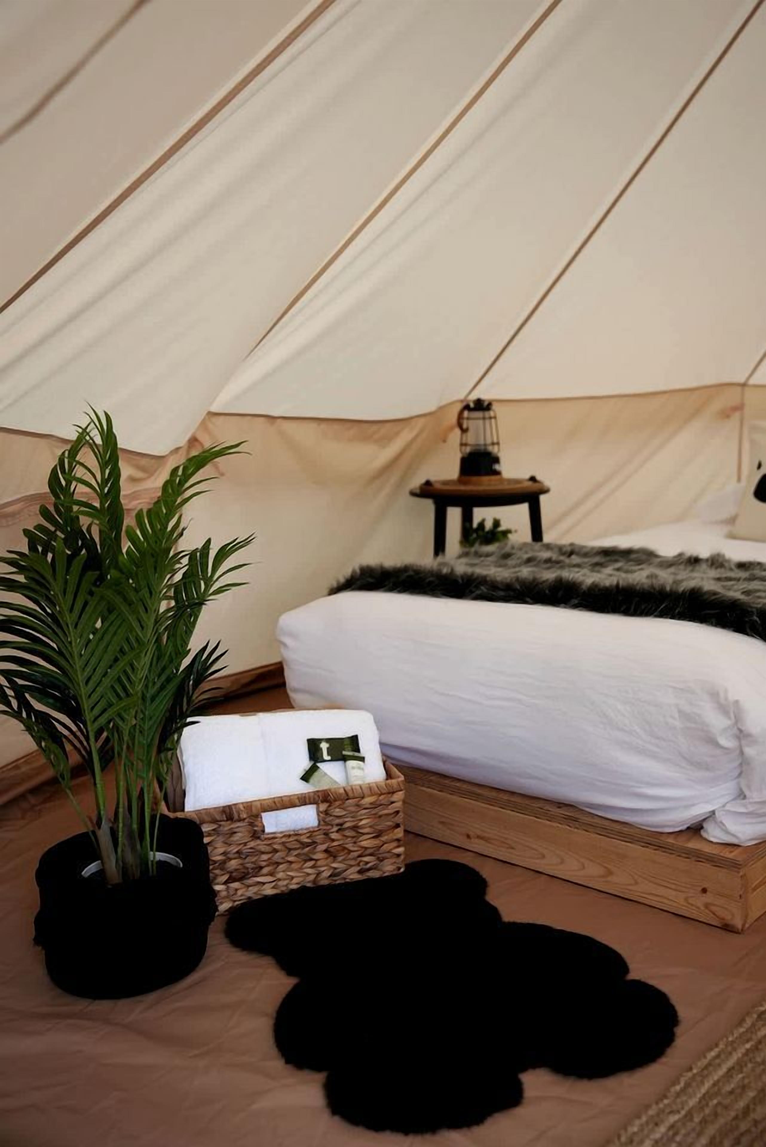 Una carpa con cama, una mesita, una lámpara, una planta en maceta y una cesta.