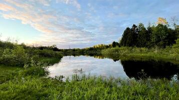 Ein ruhiger Fluss, umgeben von Grün und Bäumen.