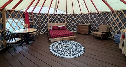 Yurt with Pond Access for Glamping Escapes in Ontario, Canada