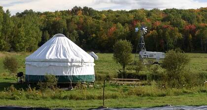 Yurt with Pond Access for Glamping Escapes in Ontario, Canada