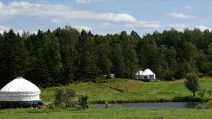 A yurt and a traditional house in a rural setting with a forest backdrop.