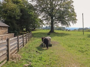 Overnatningsstedets område