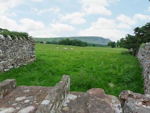 Property grounds - Mews Cottage, Pooley Bridge (Penrith)
