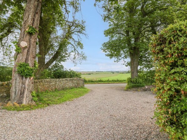 A gravel path leading to a rural area with stone walls and trees.