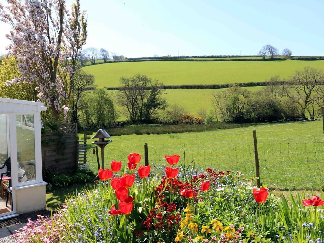Àrea exterior de l'allotjament