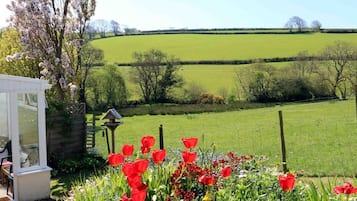 Àrea exterior de l'allotjament