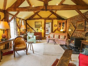 Fireplace - DOLGENAU HIR, all ground floor, near Trefeglwys (Caersws)