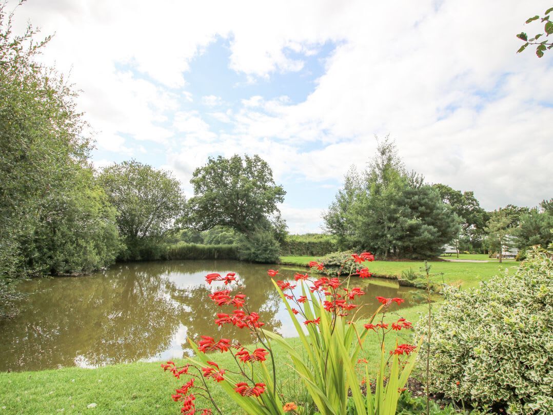 Àrea exterior de l'allotjament