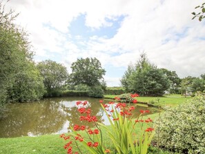 Property grounds - Bangor in Overton nr Ellesmere (Wrexham)
