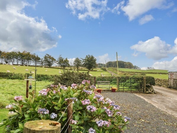 A rural landscape with a gravel path, a wooden gate, and a grassy field with sheep.