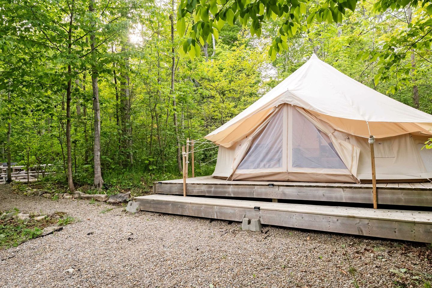 Een tent op een houten platform in een bebost gebied.