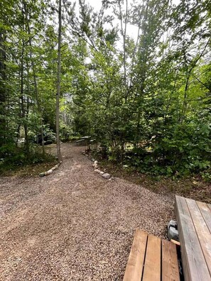 A gravel path leading through a wooded area with trees and a wooden bench on the right.