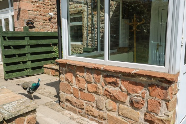 Mousehole Cottage