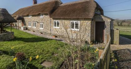 Charming Field View in Curland
