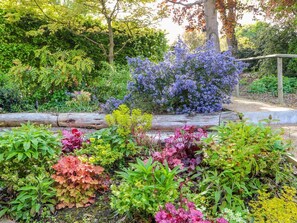 A garden with various plants and a wooden walkway.