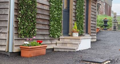 Bee Cottage in Ottinge.