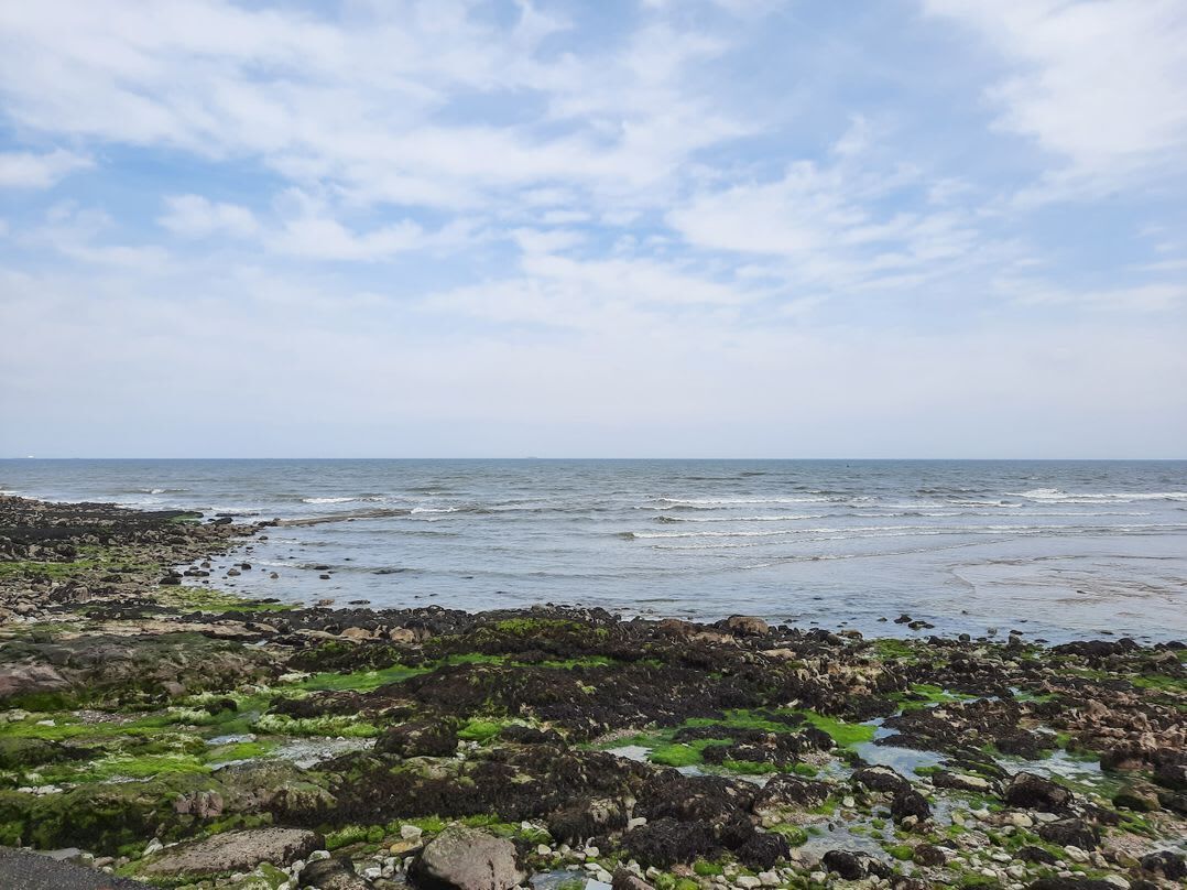 Nær stranden