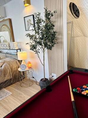 Une table de billard recouverte d’un feutre rouge, un queue de billard et un jeu de billes. On y trouve également une lampe avec un pied rond et une petite table sur laquelle sont posés une plante et un tableau encadré.