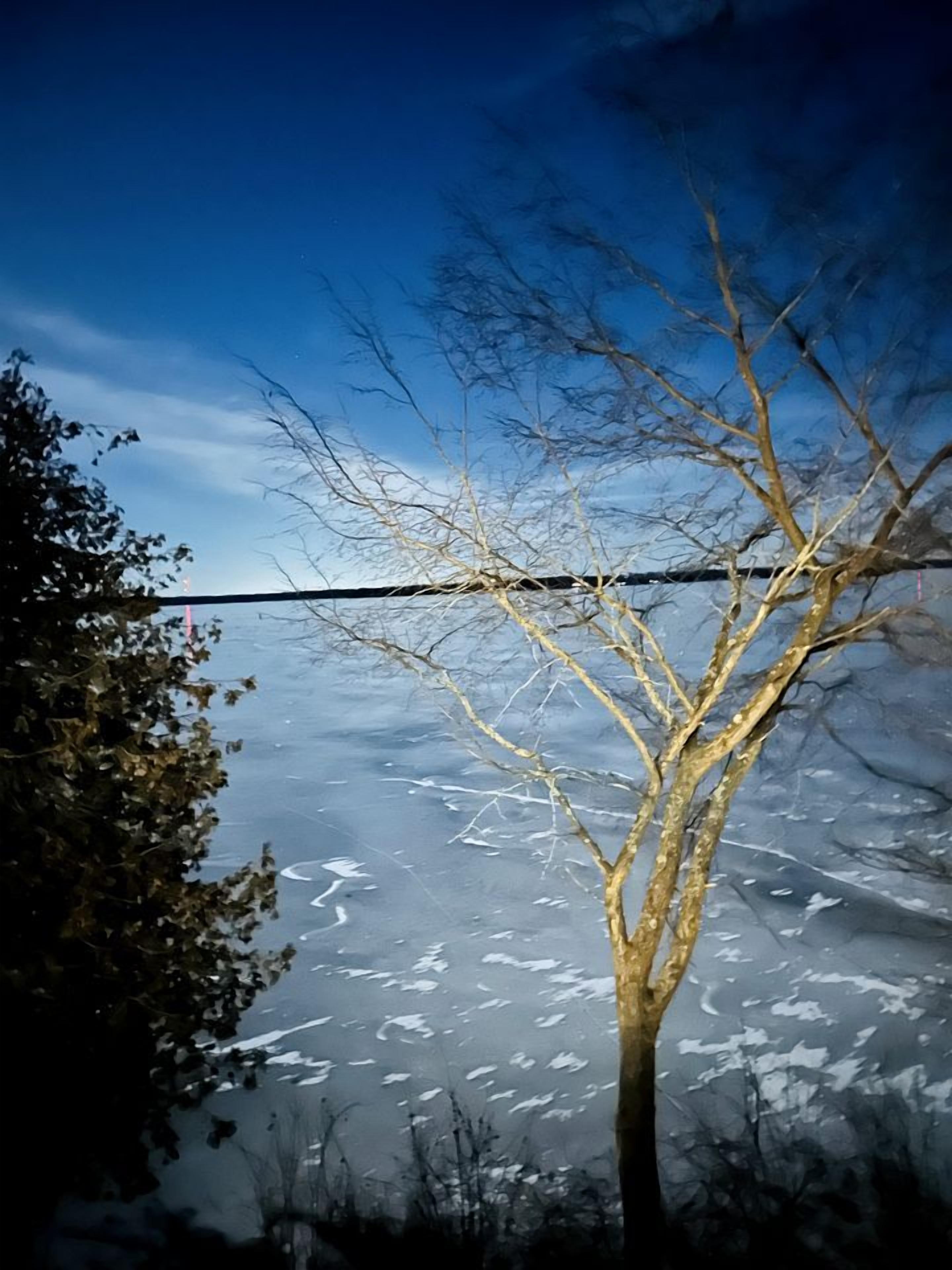 A tree in front of a frozen body of water with a clear sky.