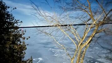 A tree in front of a frozen body of water with a clear sky.