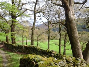 Property grounds - Knott Lodge, Sedbergh (Sedbergh)