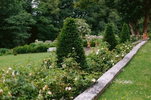 A garden with neatly trimmed hedges and a stone pathway.