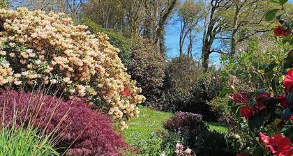 THE PATIO FLAT, dog friendly, in Liskeard