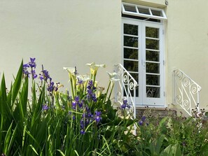 Detalle exterior