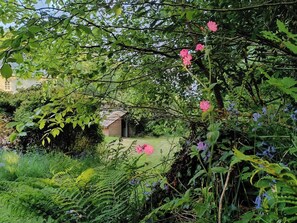 A garden with a shed, dense foliage, and flowering plants.