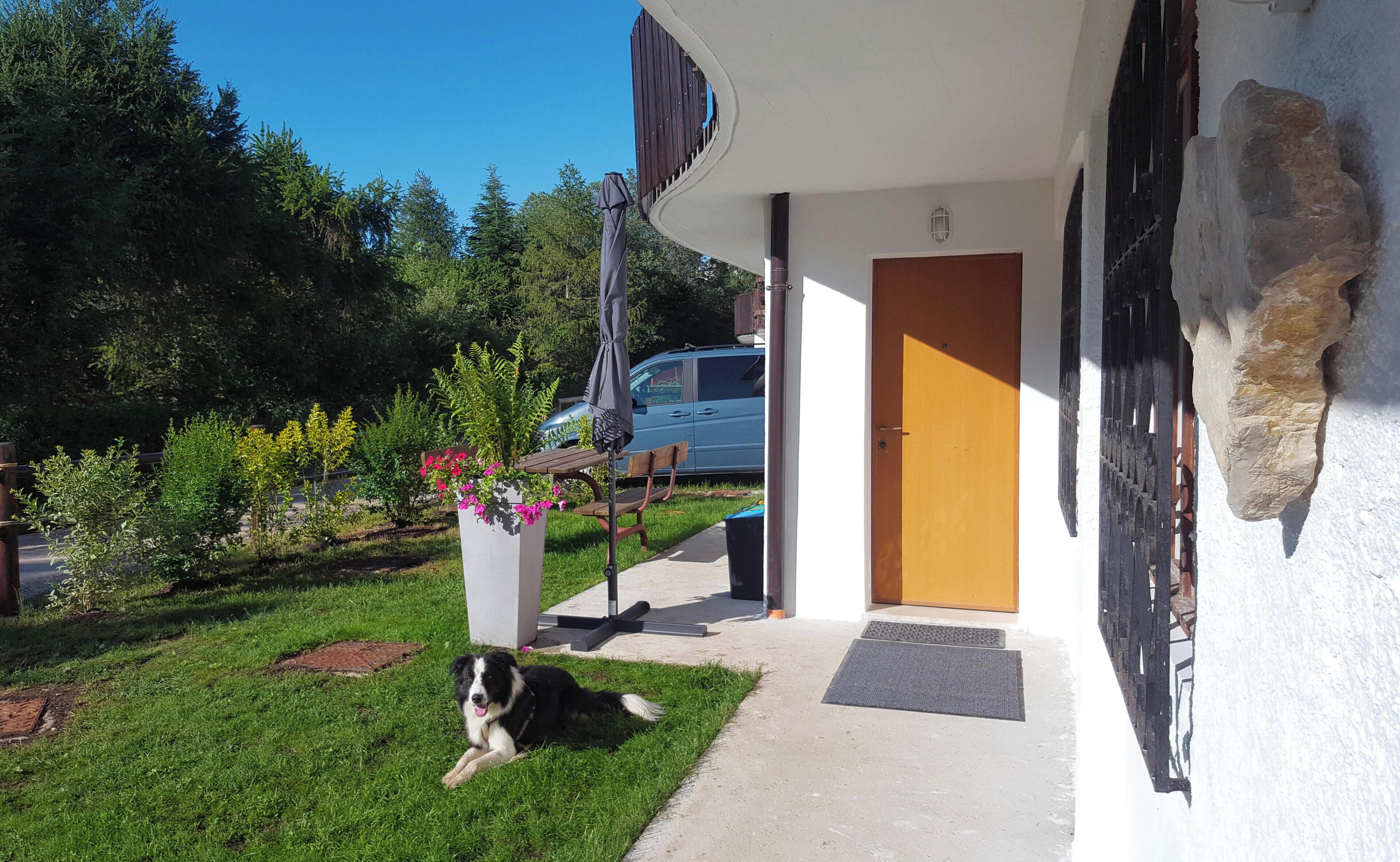 A house with a front door, a dog lying on the grass, and a car parked in the driveway.