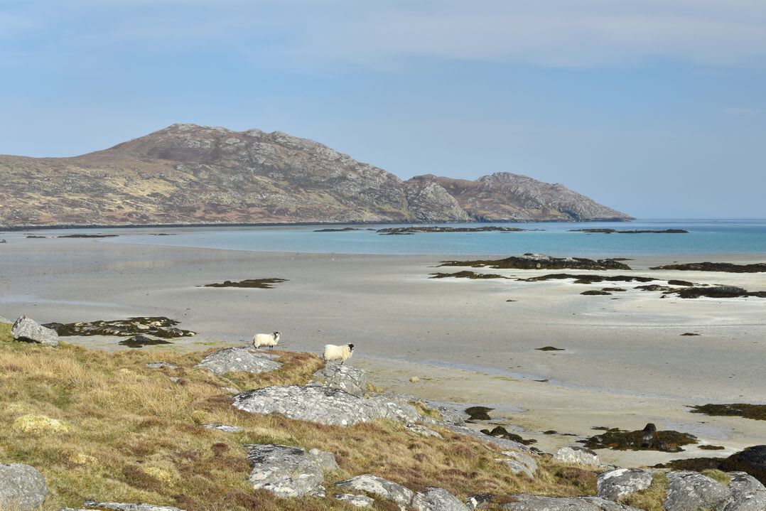 Plage à proximité