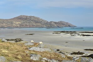 A coastal landscape with rocky terrain, a sandy beach, and a mountain in the background.