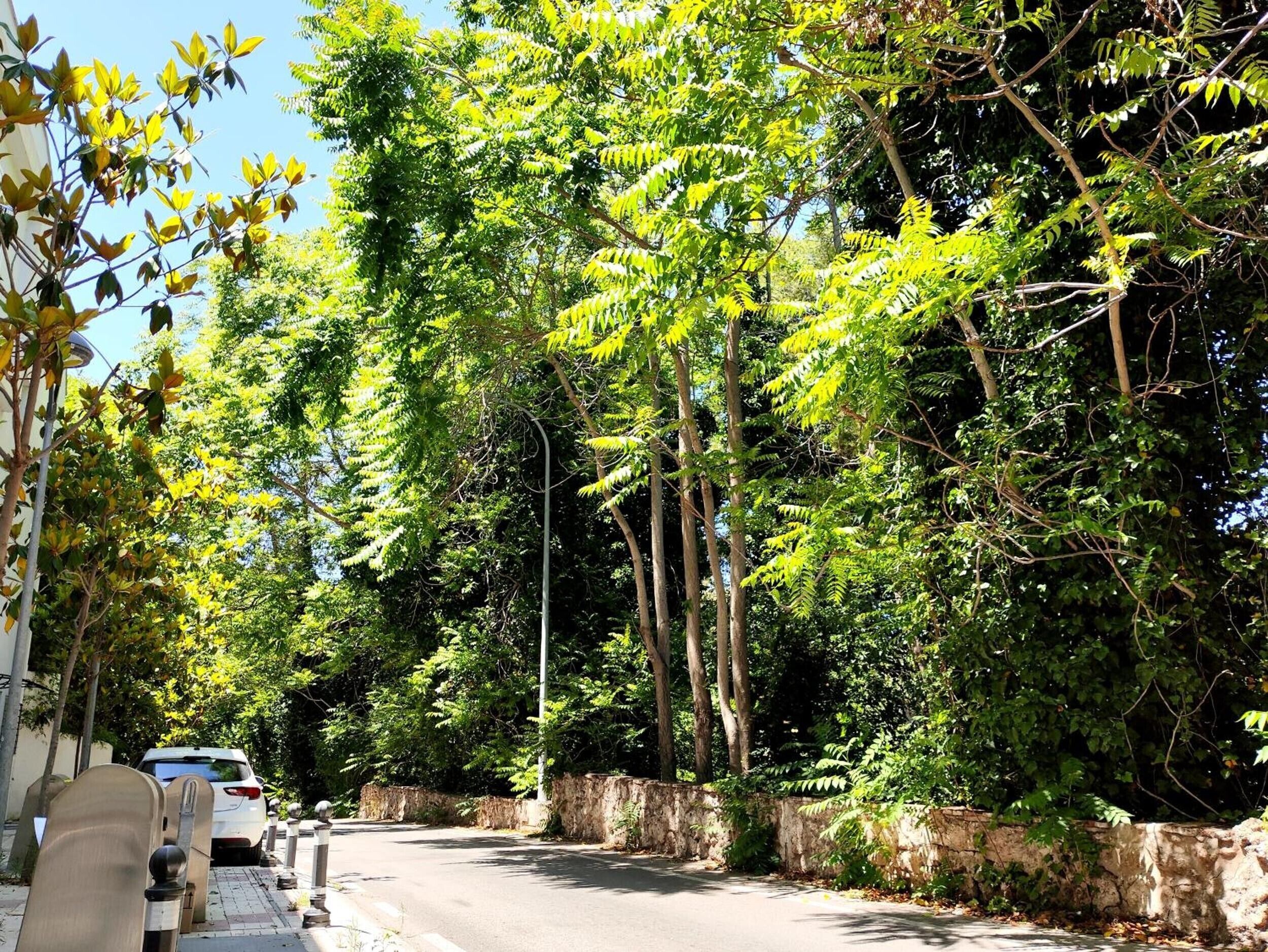 المنطقة المحيطة بالمنشأة