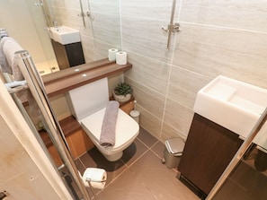Shower - 2 The Coach House, Romaldkirk (Barnard Castle)
