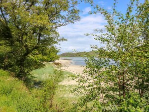 En strand med træer og en klar himmel.
