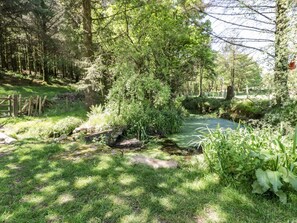 Property grounds - Little Trespettigue, Altarnun (Launceston)