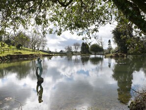 Property grounds - Charming Little Retreat Escape (Liskeard)