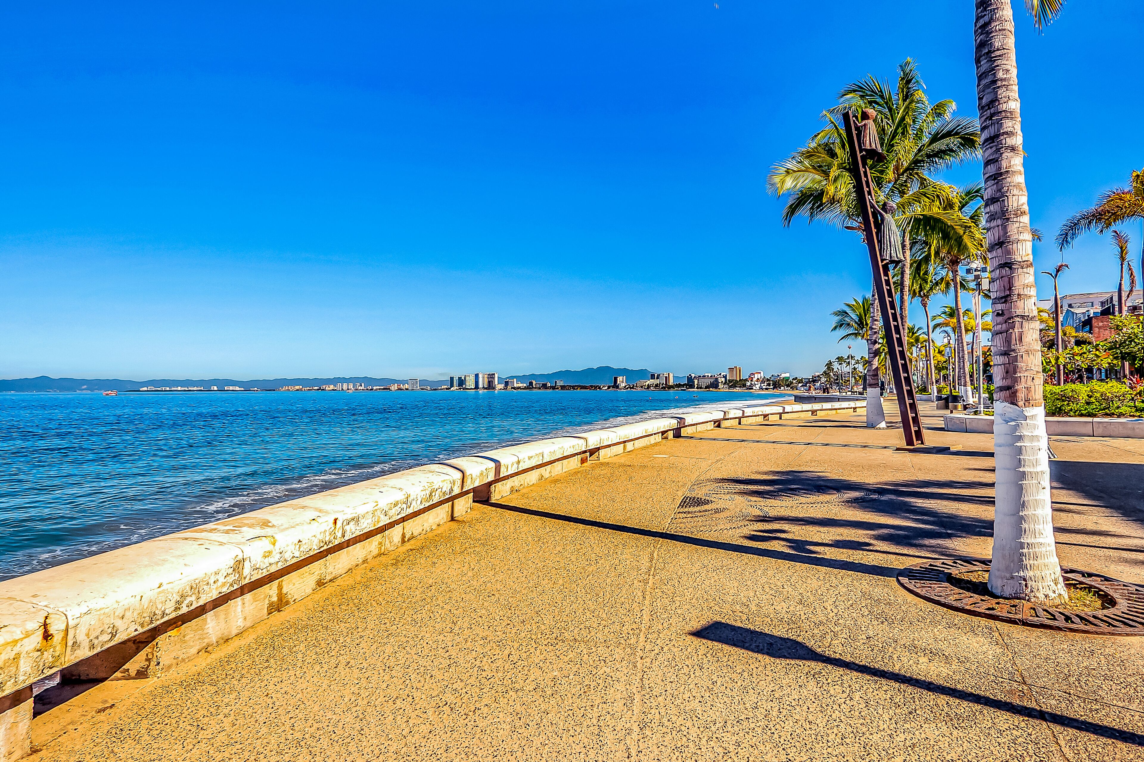 Une promenade en bord de mer, avec une allée piétonne en béton, des palmiers et une vue sur la mer et les bâtiments situés au loin.