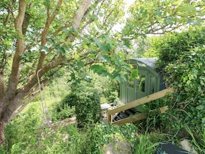 A small, green wooden structure with a bench, surrounded by dense foliage and trees. - The Shephard Hut, Solva (Haverfordwest)