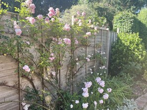 Property grounds - The Old Vicarage, Merriott (Merriott)