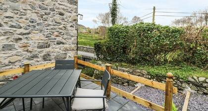 Llwyn Celyn, Brithdir
