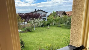 Une vue à travers une fenêtre sur une pelouse bien entretenue, avec des arbres et un bâtiment en arrière-plan.