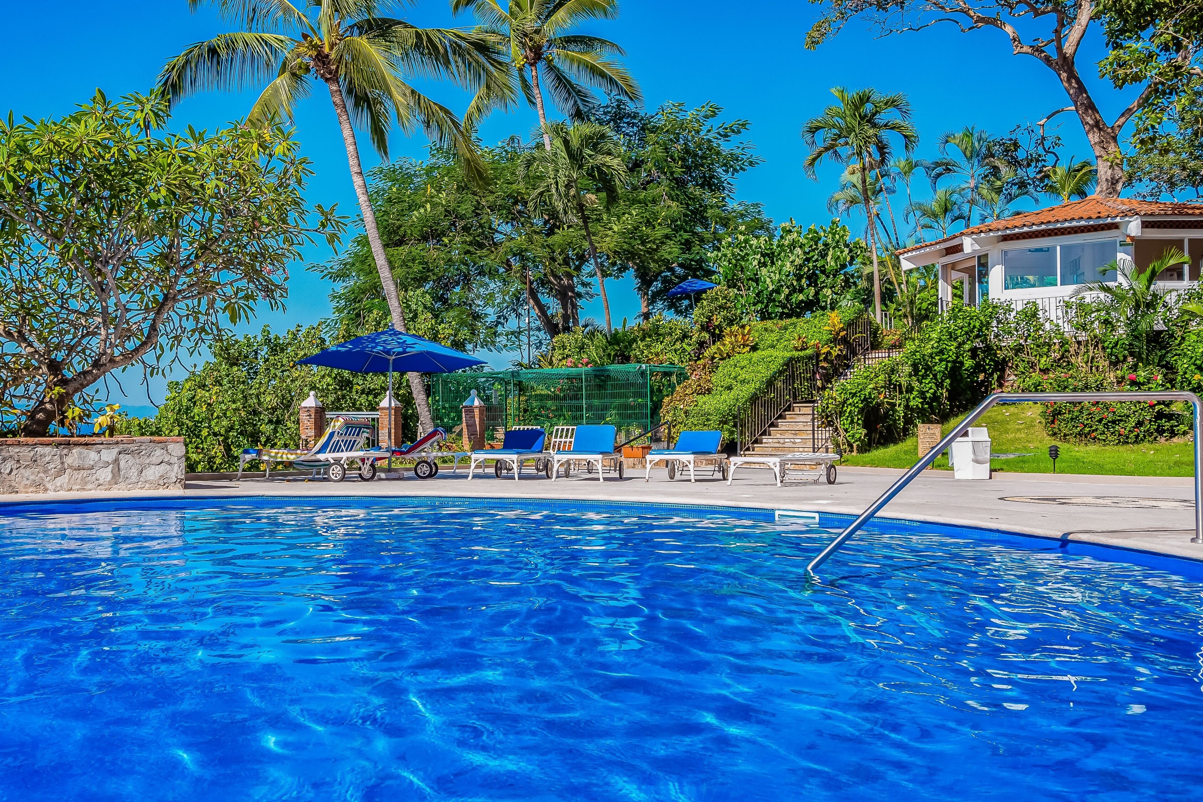 Une piscine entourée de palmiers et d’une maison, avec des chaises longues et des parasols.