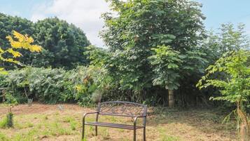 Área da propriedade