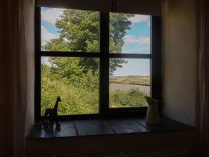Una ventana con vistas a follaje y una carretera.