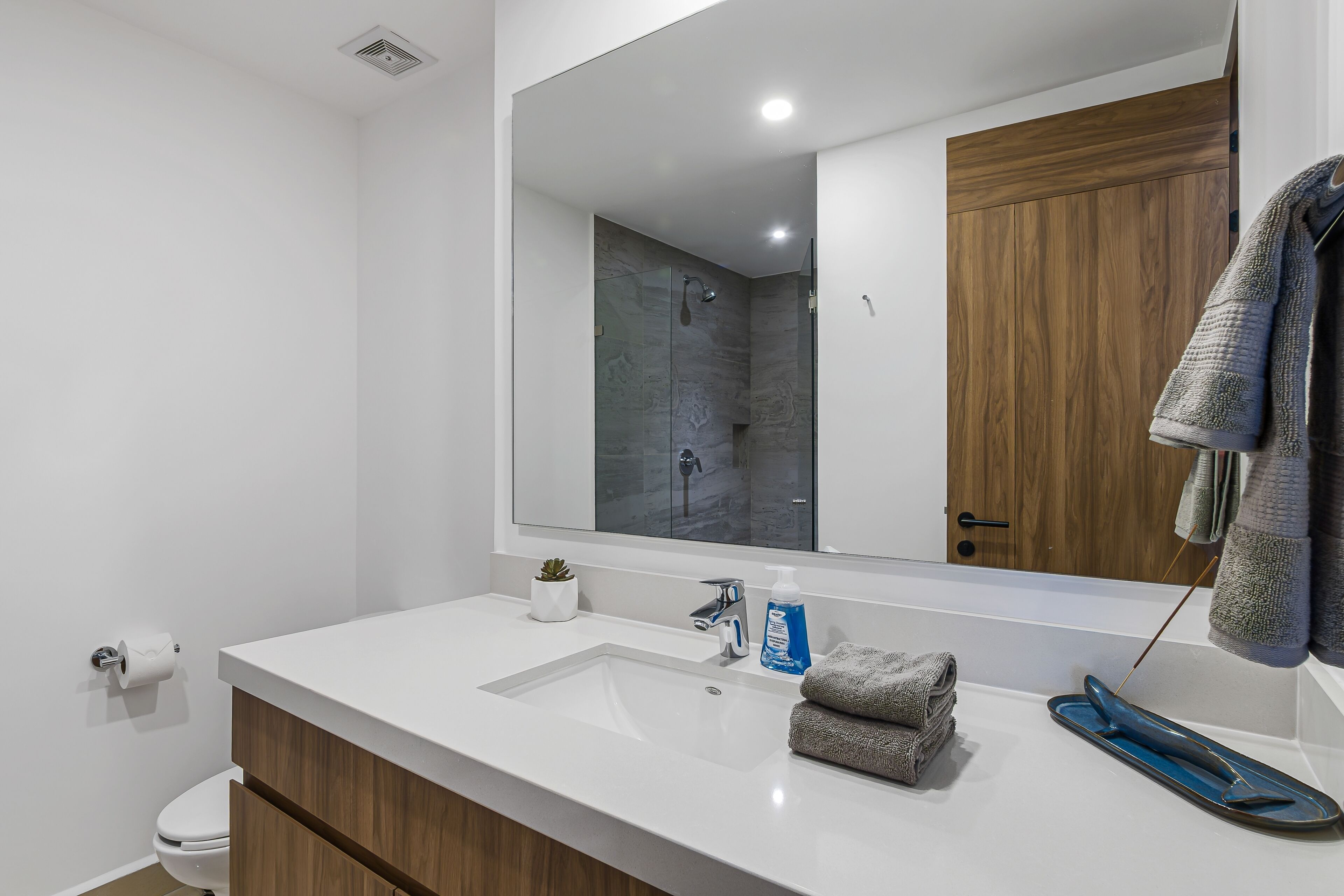 Shower, hair dryer, towels