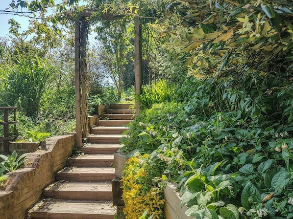 Una escalera de madera rodeada de abundante vegetación y plantas.